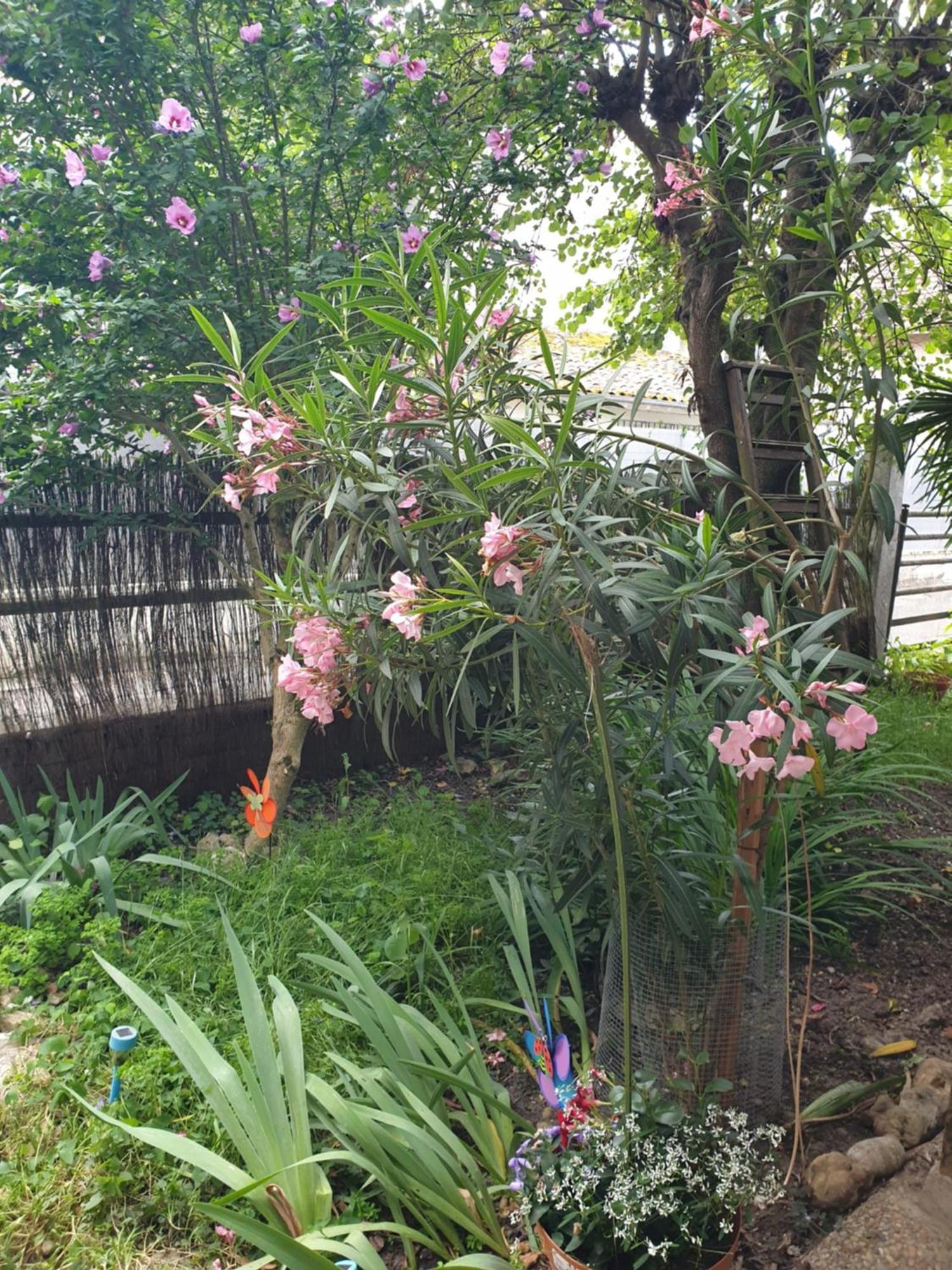 GabarretLa Demeure公寓 外观 照片